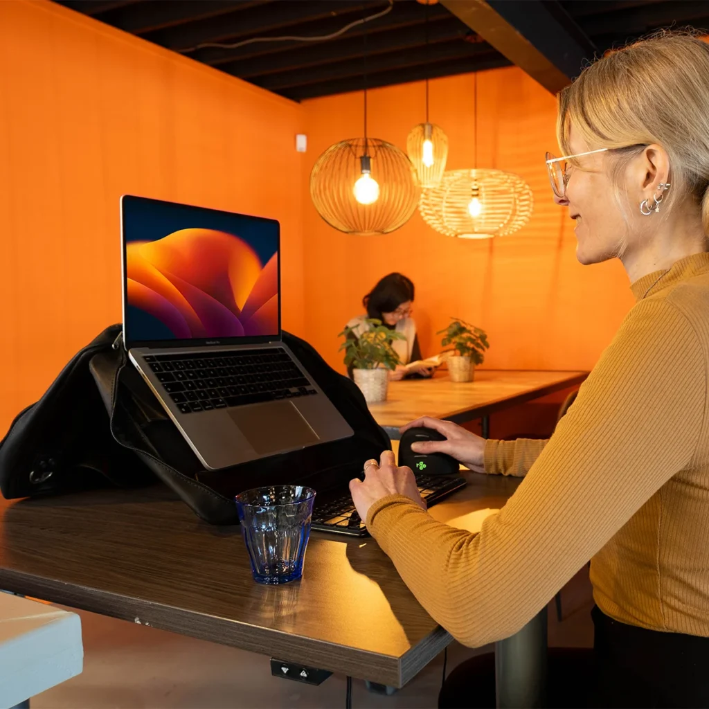 Miks ergonoomiline arvutikott on parim kingiidee isale? 1 parim kingiidee
